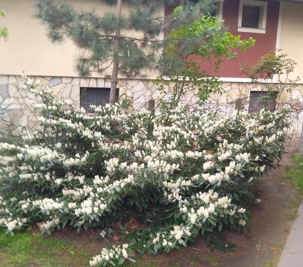 Sandrea I Apartment Subotica Exterior foto